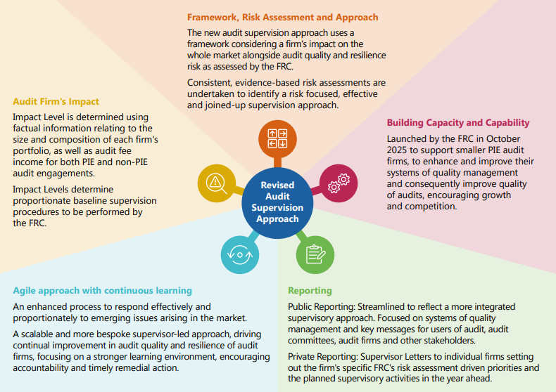 Visual representation of the Revised Audit Supervision Approach