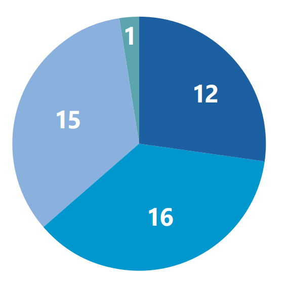 Pie chart, broken down in the following list