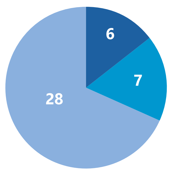 Pie chart, broken down in the following list