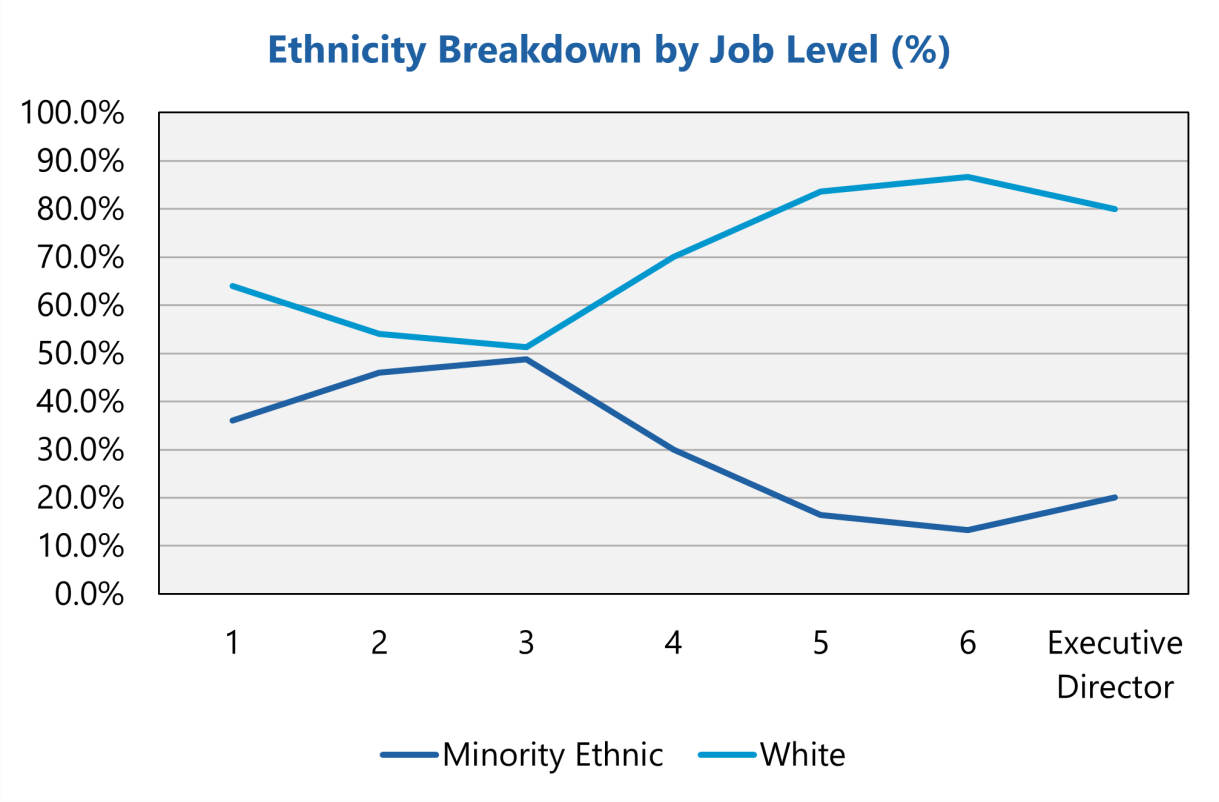 Line graph showing ethnicity breakdown by job level, comparing minority ethnic and white percentages across levels 1-6 and Executive Director.