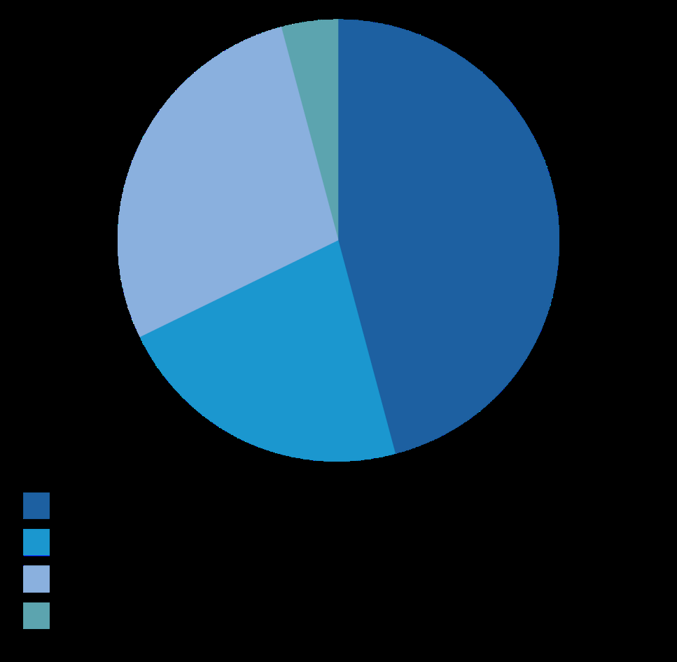 Pie chart showing proportions across four categories, represented by different shades of blue.