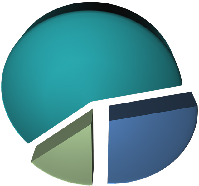 3D pie chart with a large teal section, a medium blue section, and a smaller light green section.