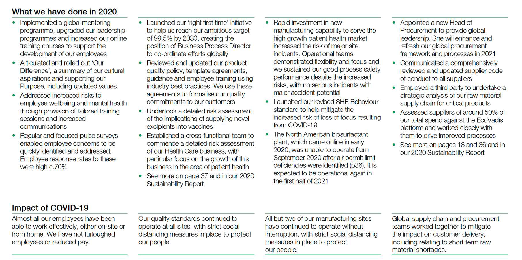 List of 2020 achievements, including global mentoring, leadership programs, product quality, and supply chain management, plus the impact of COVID-19.
