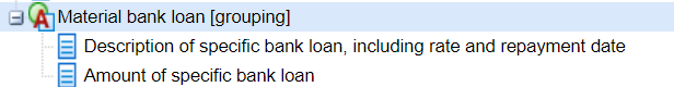 Data structure for 'Material bank loan', including fields for description of specific loan, interest rate, repayment date, and loan amount.