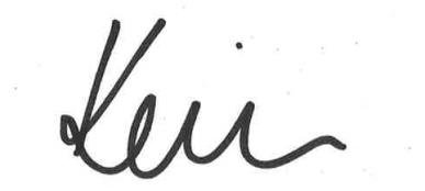 Handwritten signature, likely indicating endorsement or approval.