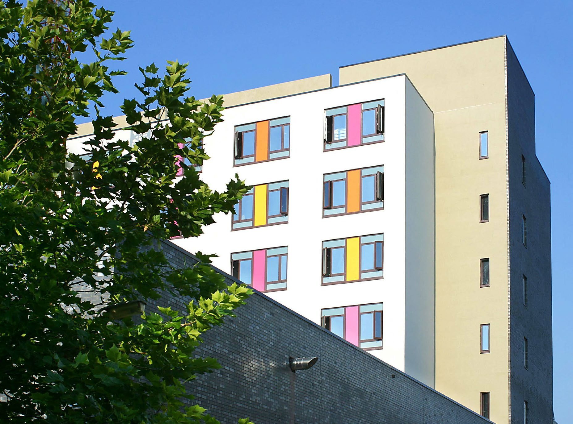 Modern university building with white facade and colorful window frames, partly seen behind a green tree.