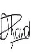 Handwritten signature of DP Raval