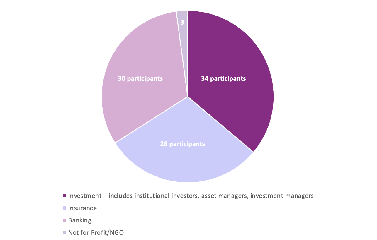 Pie chart showing participant distribution by sector: Investment (34), Banking (30), Insurance (28), and Not for Profit/NGO (3).