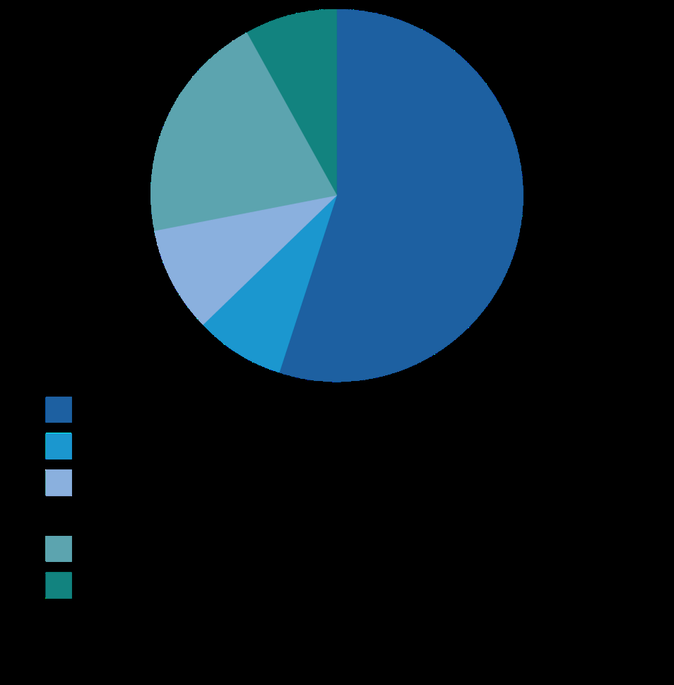Pie chart illustrating the proportional distribution of an unknown whole across several categories.
