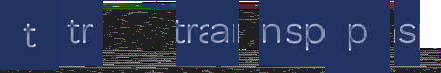 Corrupted screenshot of technical content displaying fragmented text 't tr trea nsp p s' over what appears to be code or data.