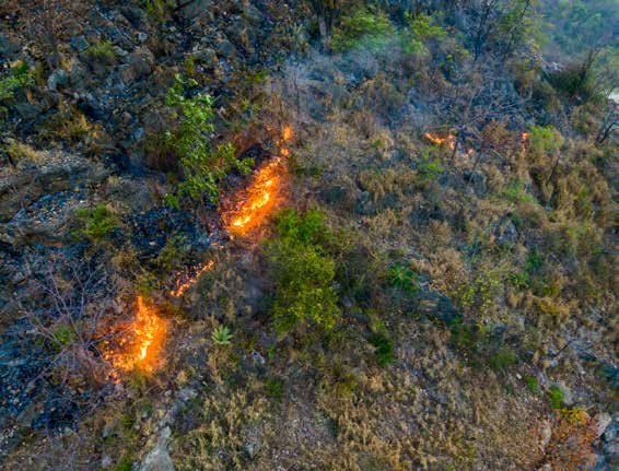Overhead view of a dry, rocky hillside with scattered green plants and several small, active fires burning across the terrain.