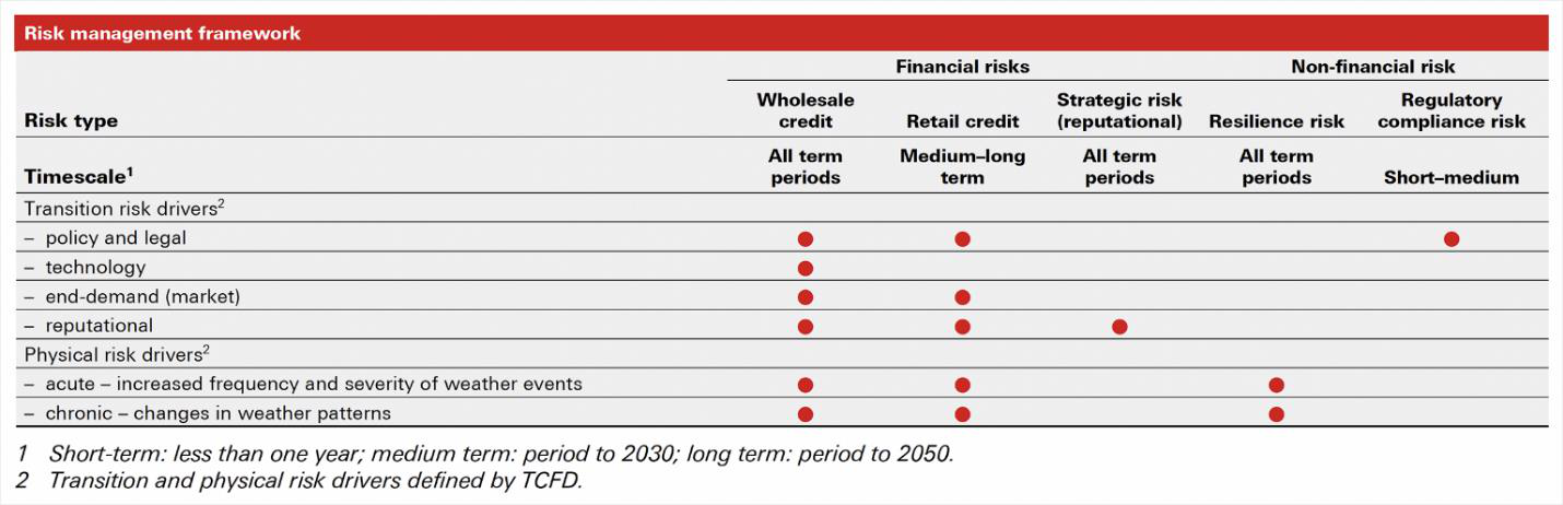 Risk management framework matrix showing applicability of transition and physical risk drivers across various financial and non-financial risk types.