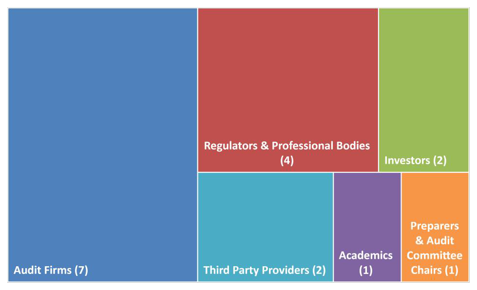 Treemap chart showing stakeholder categories and counts: Audit Firms (7), Regulators (4), Third Party Providers (2), Investors (2), Academics (1), Preparers & Committee Chairs (1).