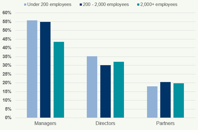 Clustered bar chart showing the percentage of Managers, Directors, and Partners by firm size category (Under 200, 200-2000, 2000+ employees).