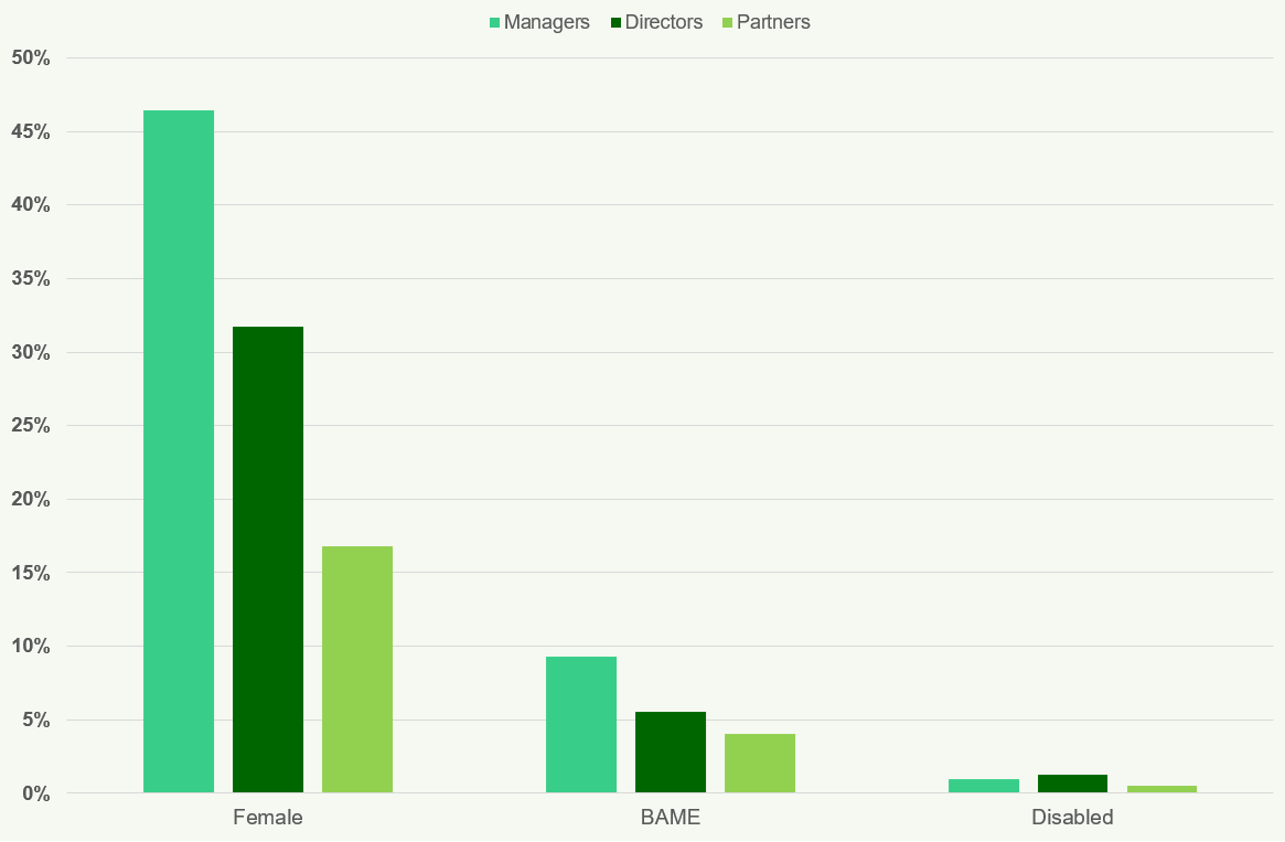 Bar chart showing percentages of managers, directors, and partners across female, BAME, and disabled categories.