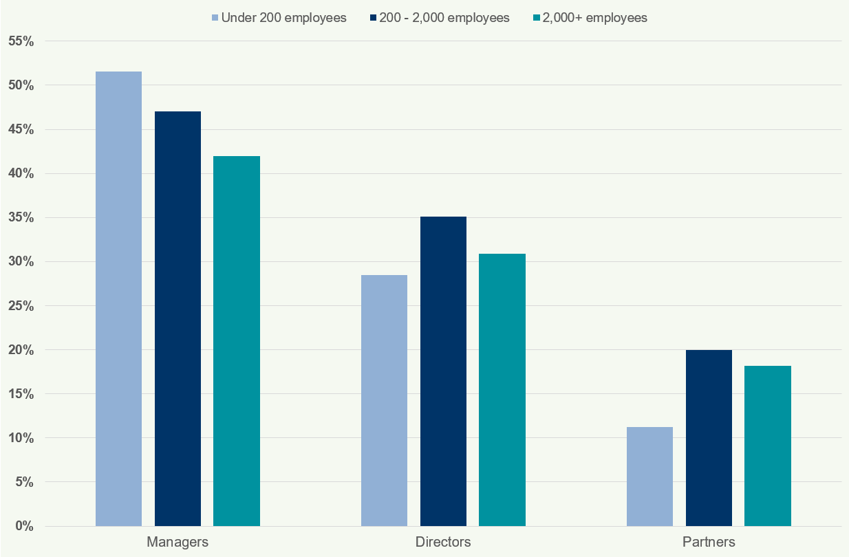 Bar chart illustrating percentages of managers, directors, and partners by firm size.