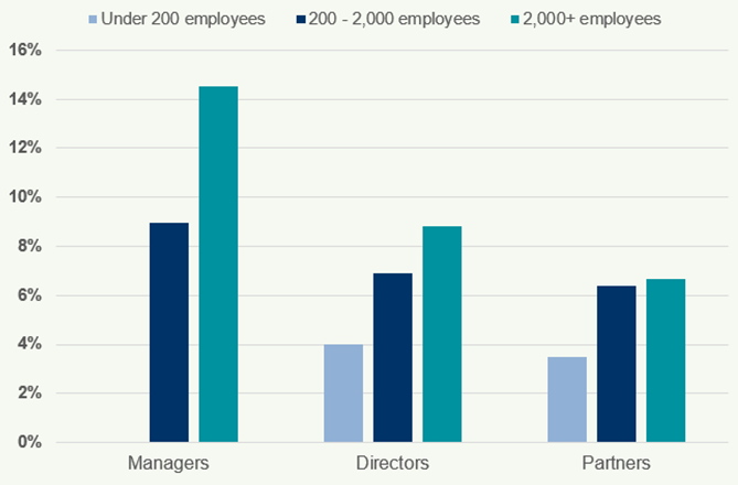 Clustered bar chart displaying the percentage breakdown of Managers, Directors, and Partners across different firm size categories.