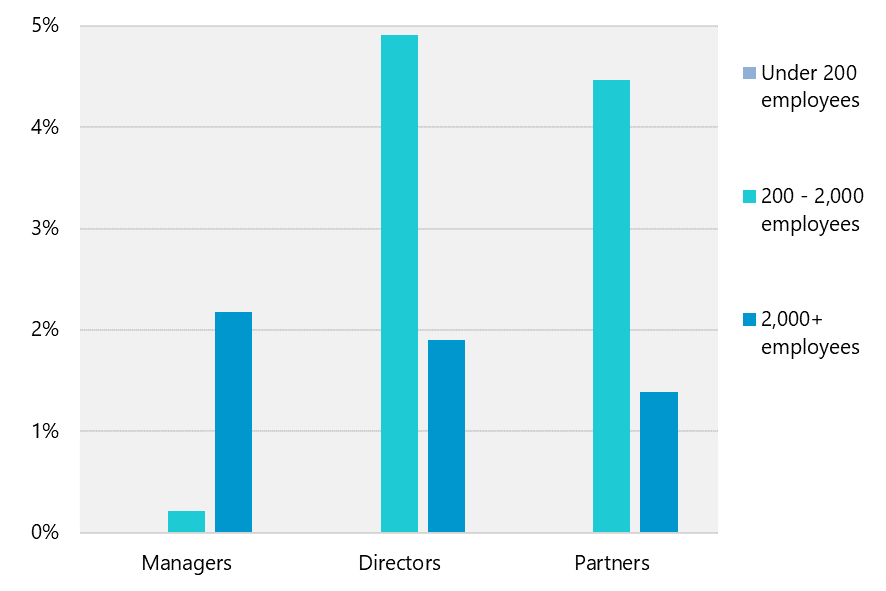 Bar chart showing percentages of Managers, Directors, and Partners by company size (under 200 employees, 200 - 2,000 employees, 2,000+ employees) across LGBTQ+ individuals.