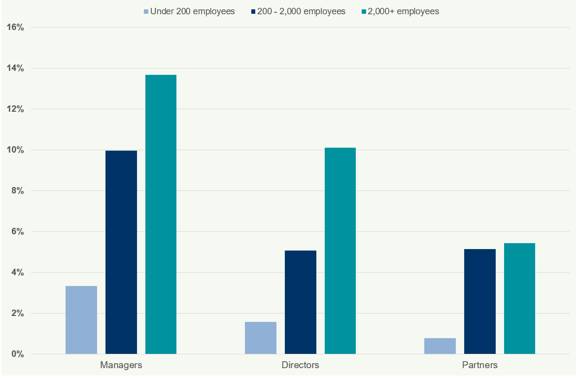 Bar chart displaying percentages of managers, directors, and partners by firm size, focusing on lower percentages.