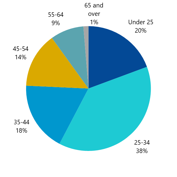 Pie chart displaying age distribution across different age groups.