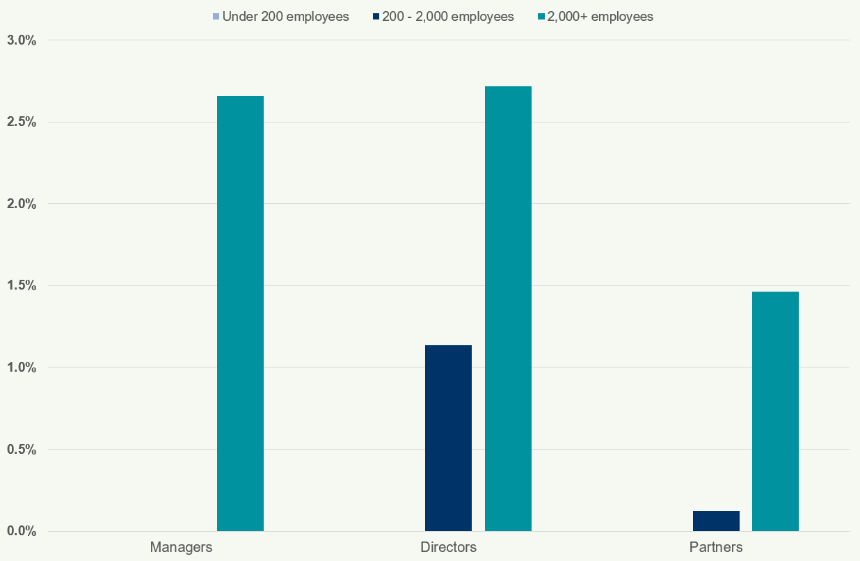 Bar chart showing low percentages of managers, directors, and partners by firm size.