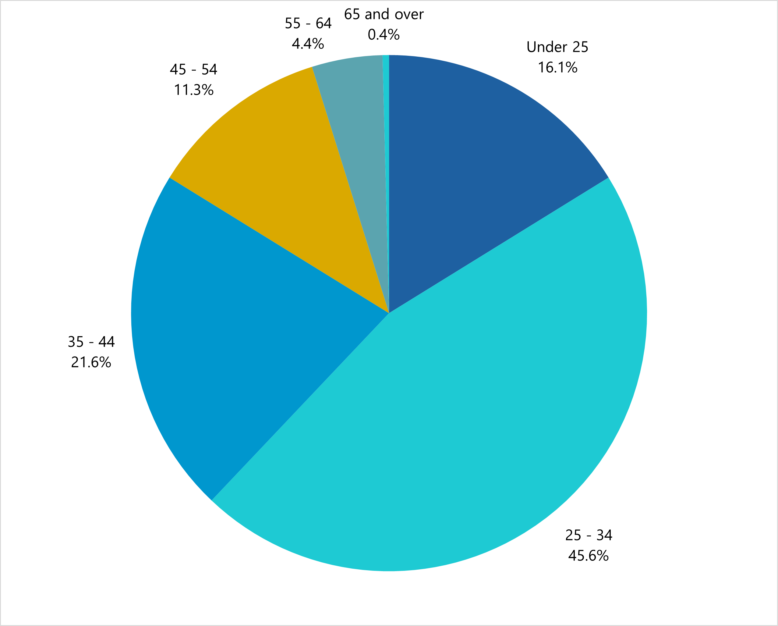 Pie chart displaying the percentage distribution of individuals across various age groups for the workforce in 2023