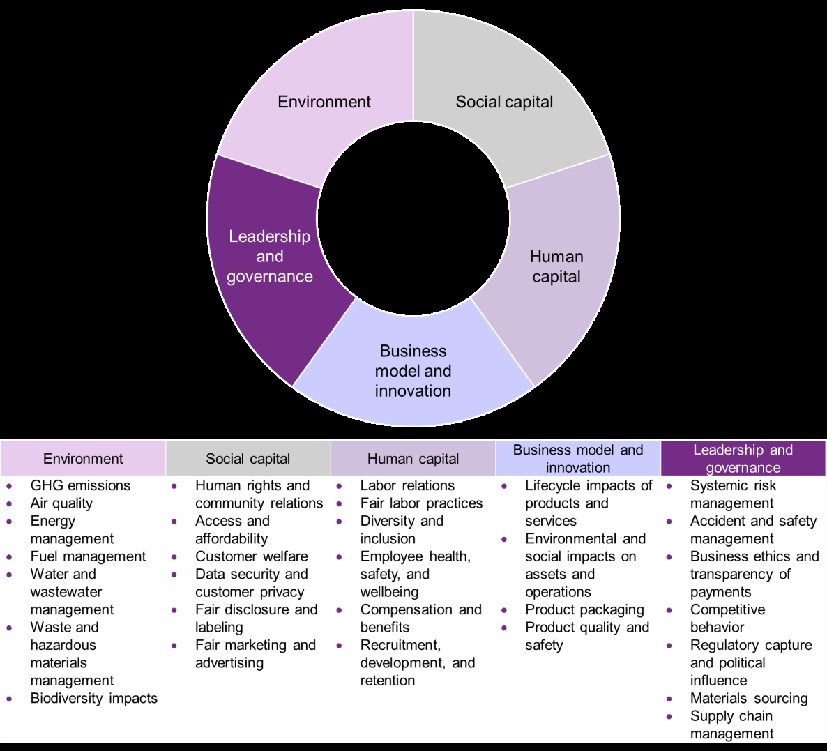 Donut chart showing five categories: Environment, Social capital, Human capital, Business model and innovation, and Leadership and governance, with a list of detailed sub-points for each category.