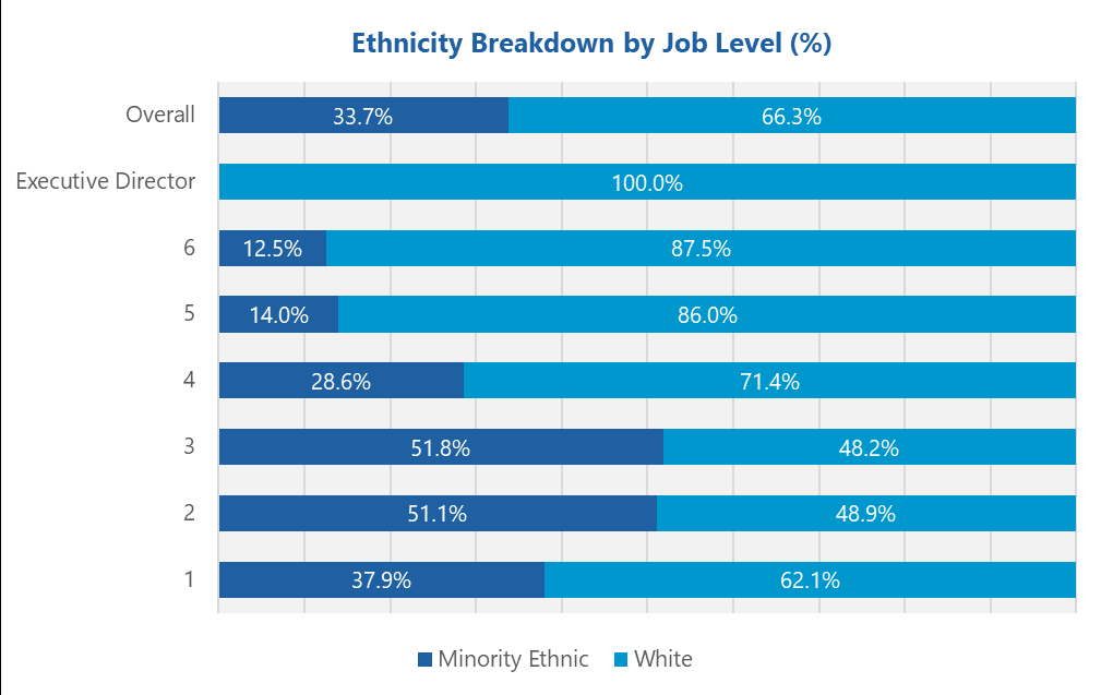 Stacked bar chart showing ethnicity breakdown by job level, comparing Minority Ethnic and White percentages across Overall, Executive Director, and levels 1 through 6.