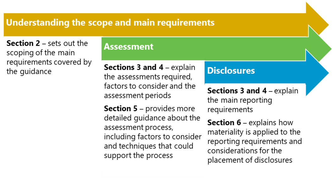 Process flow diagram illustrating three main stages: understanding requirements, assessment, and disclosures, with details on sections covered in a guidance document.