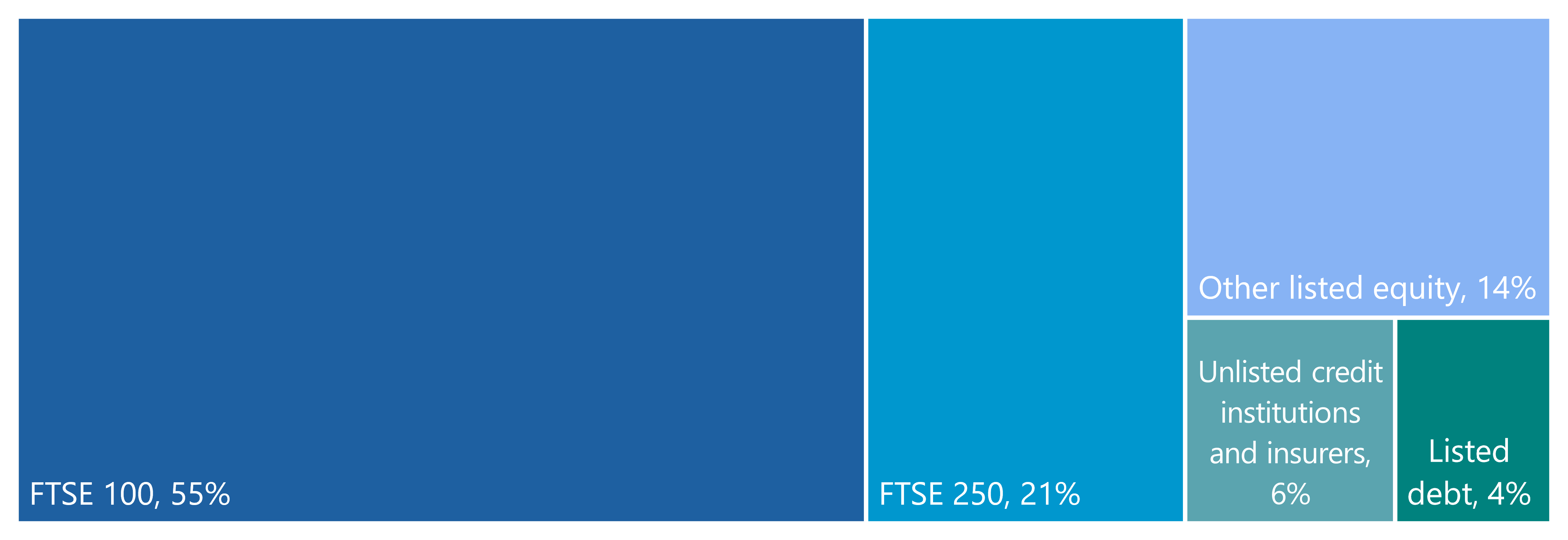 Treemap chart showing asset allocation: FTSE 100 (55%), FTSE 250 (21%), Other listed equity (14%), Unlisted credit institutions and insurers (6%), and Listed debt (4%).